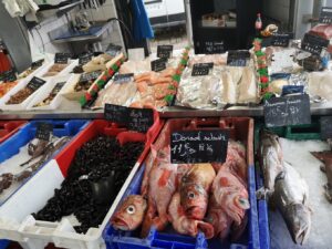 activités et loisirs autour de wimereux plage